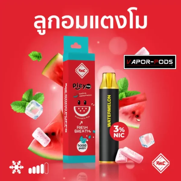 VMC 5000 คำ กลิ่น Watermelon