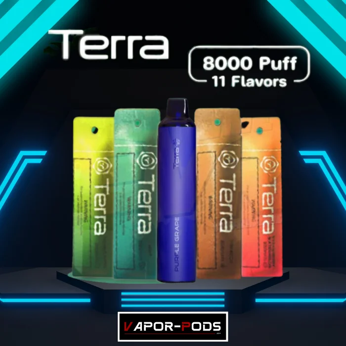 พอตใช้แล้วทิ้ง ยี่ห้อไหนดี 2024_Terra 8000 คำ