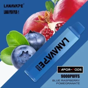 LANA PEN PLUS 9000 Puffs_Blue Raspberry Pomegranate